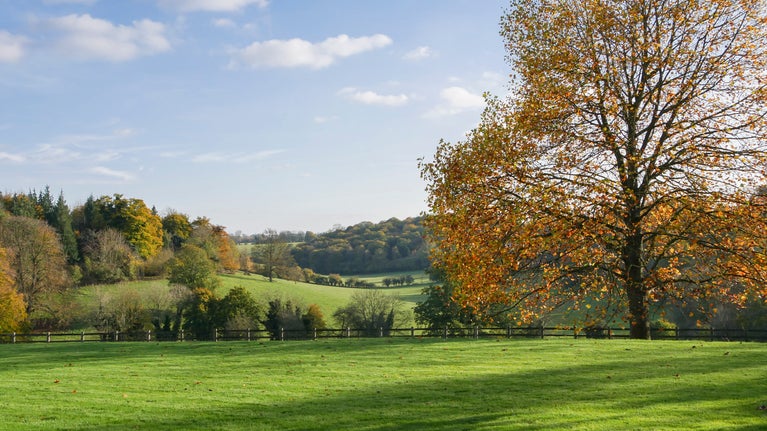 Autumn at Greys Court